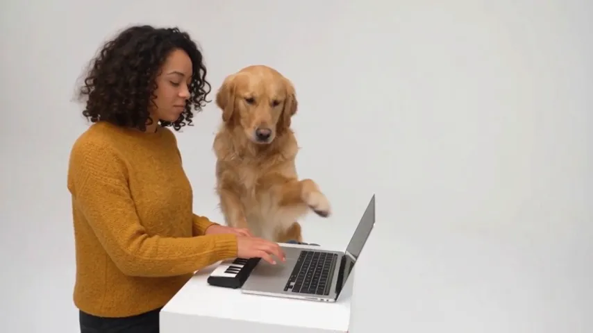 Alors On Danse AI example: a woman in a mustard sweater plays the mini keyboard while her golden retriever points along, leans into the camera for a close-up, then walks out with her